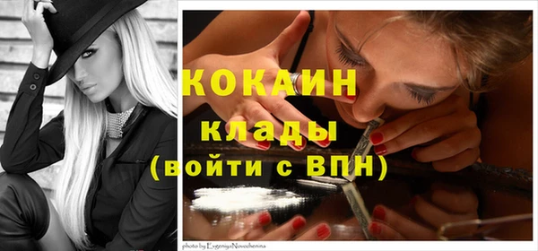 молекула духа Костерёво