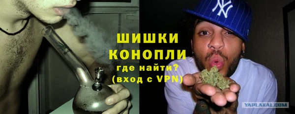 молекула духа Костерёво