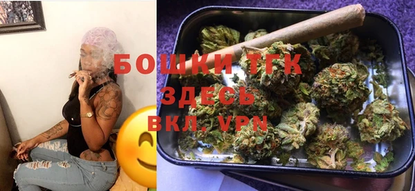 молекула духа Костерёво